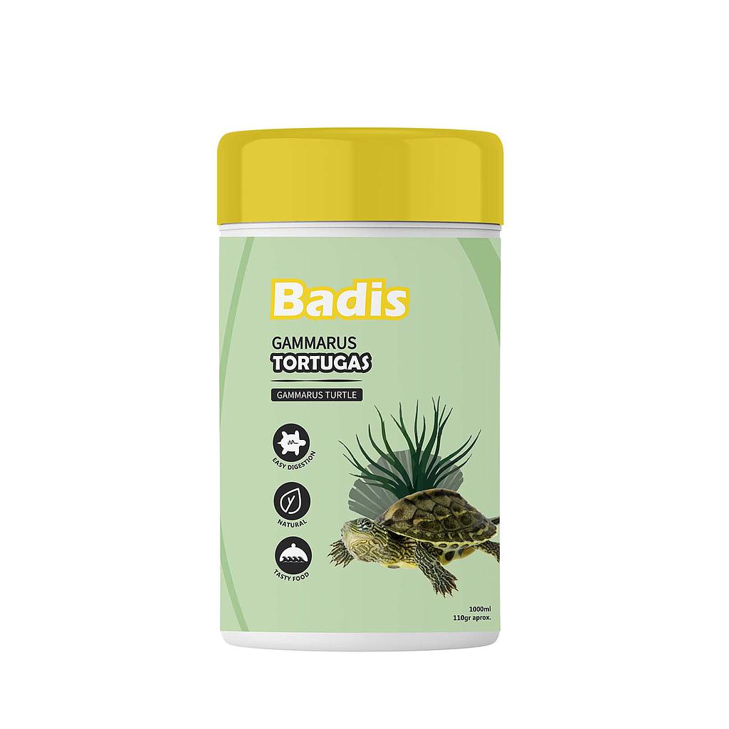 BADIS GAMMARUS