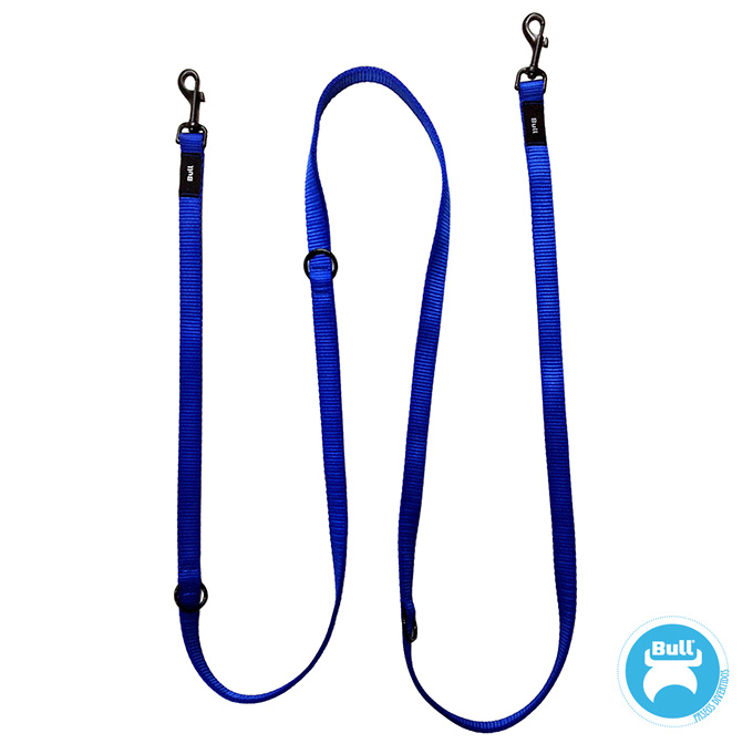 YAGU PASEO RAMAL ADIESTRAMIENTO MULTIPOSICIONES