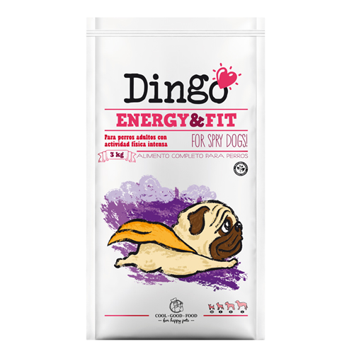 DNG DINGO ENERGY &amp; FIT