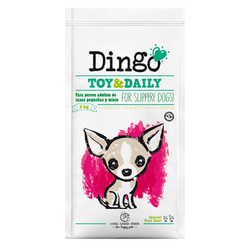 DNG DINGO TOY &amp; DAILY