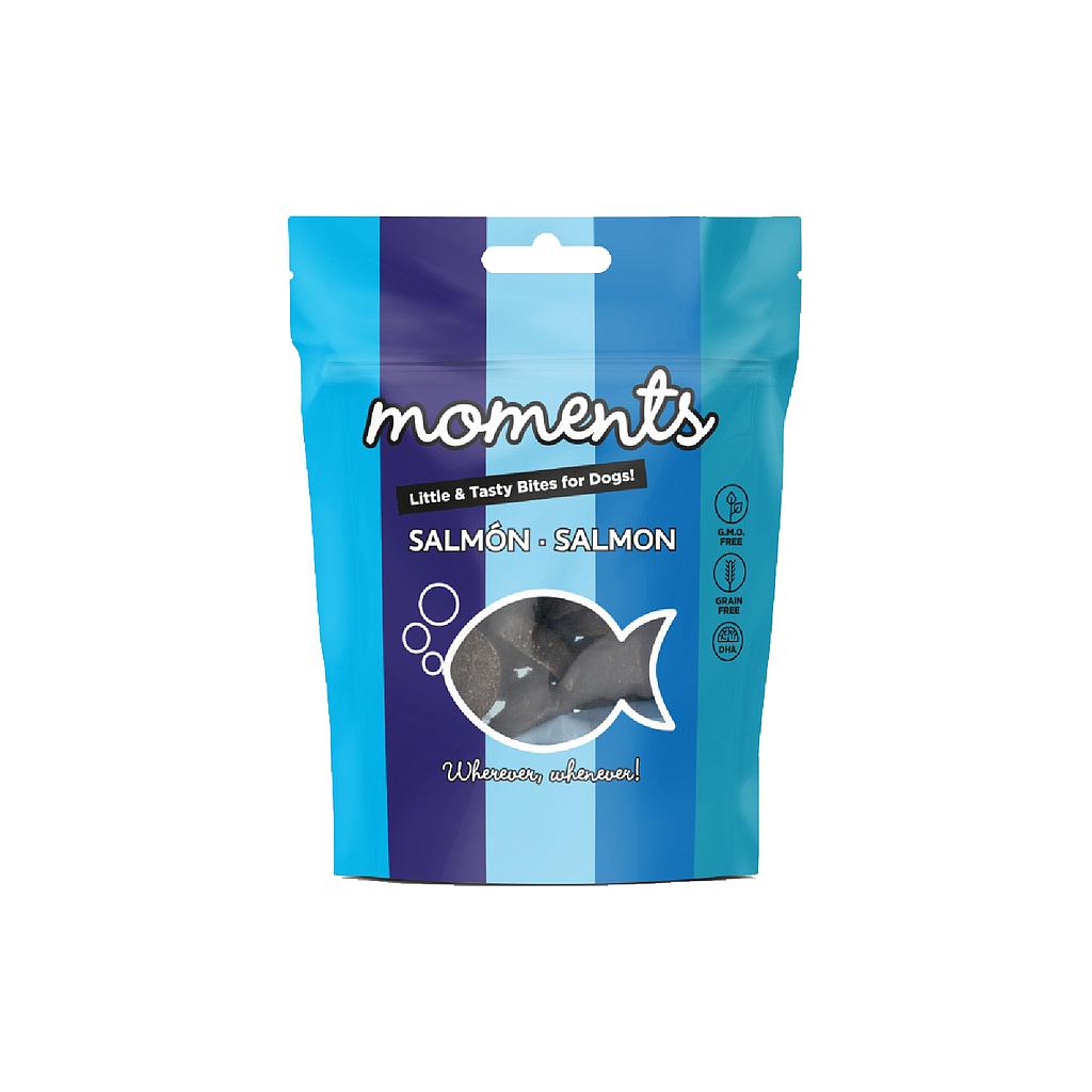 DNG MOMENTS DOG