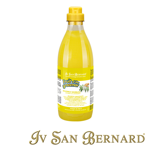 ISB FRUITS CHAMPU ZENZERO E SAMBUCO