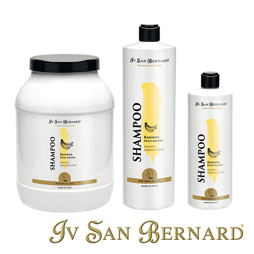 ISB TRAD CHAMPU BANANA