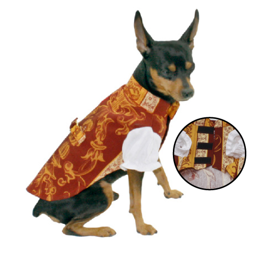 OFERTA MI&amp;DOG FALLAS TRAJE DE SARAGUEY