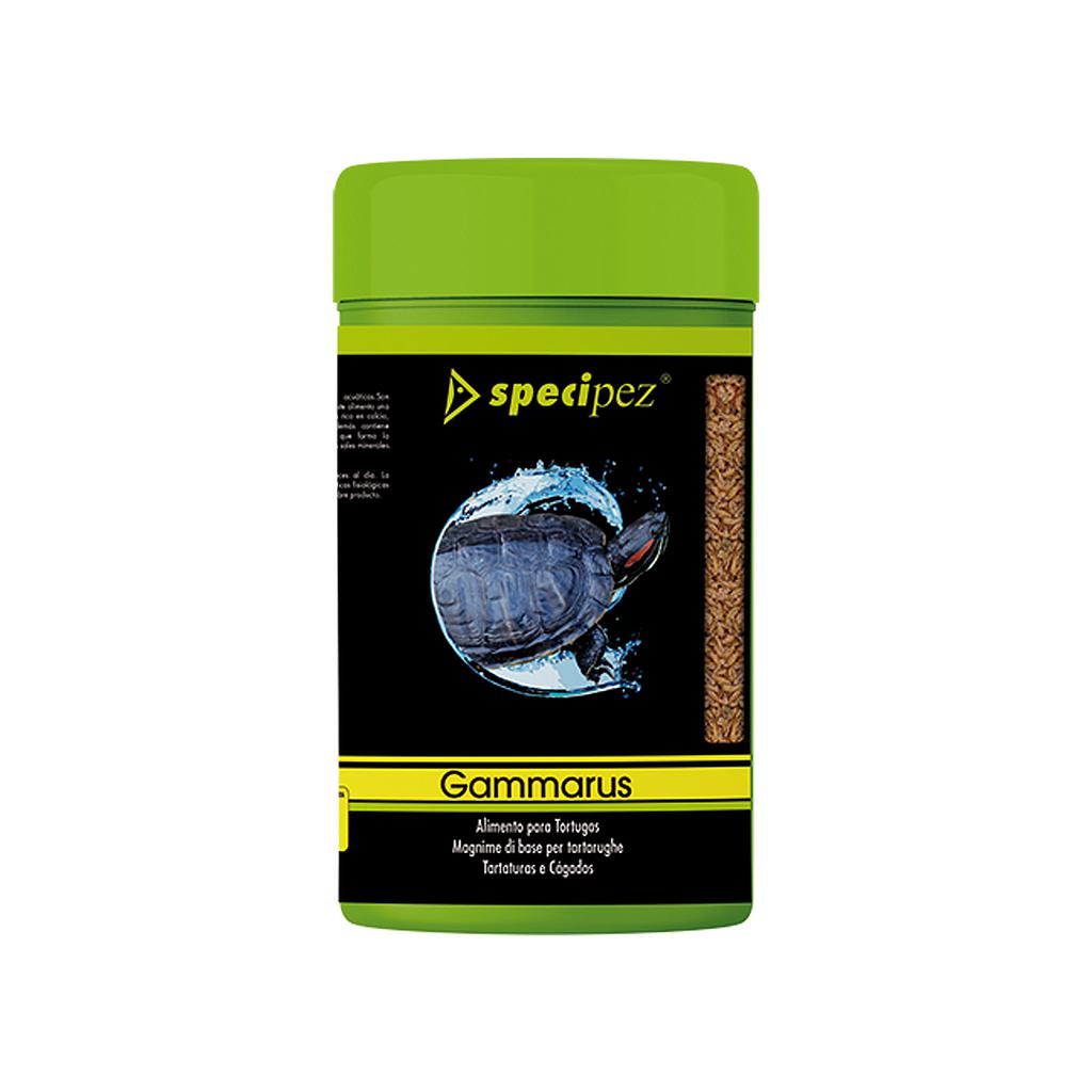 SPECIPEZ GAMMARUS