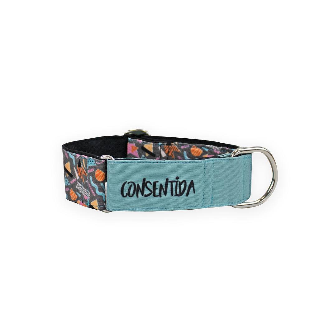 OFERTA CONSENTIDA COLLAR GALGO PRISMA