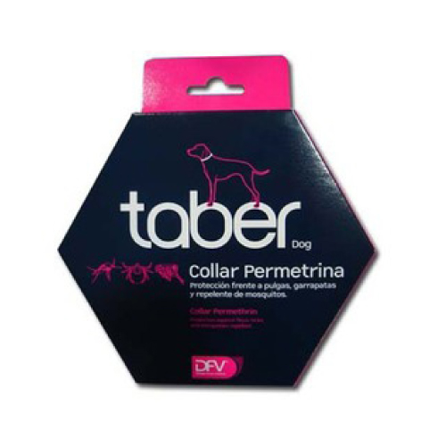 OFERTA COLLAR TABERDOG