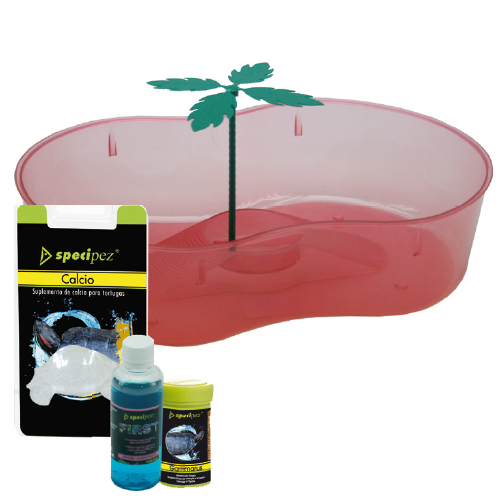 OFERTA KIT COMPLETO TORTUGUERA RIÑON 32 x 23 CM