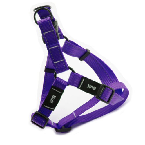 OFERTA BULL PETRAL FLUOR MORADO