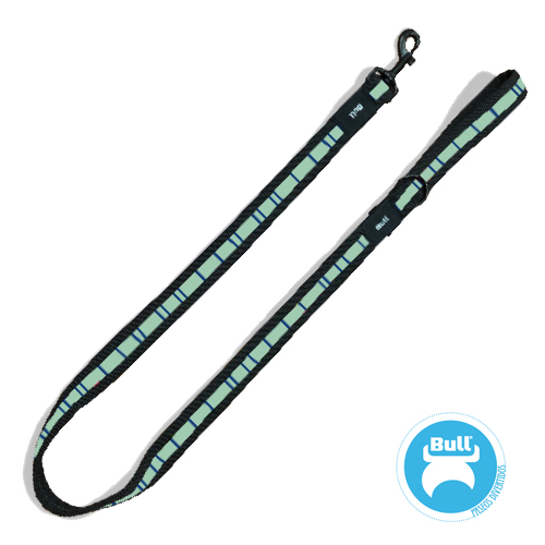 OFERTA BULL RAMAL FORTE