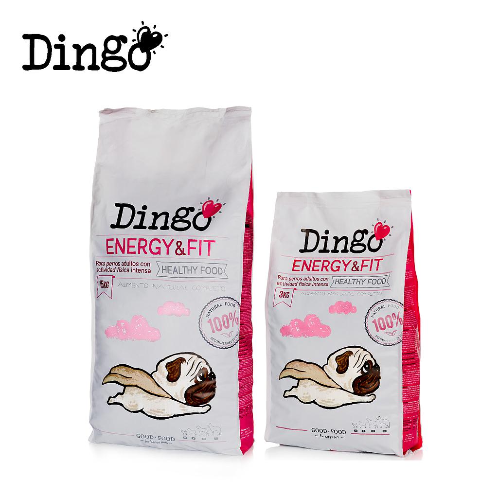 DNG DINGO ENERGY &amp; FIT