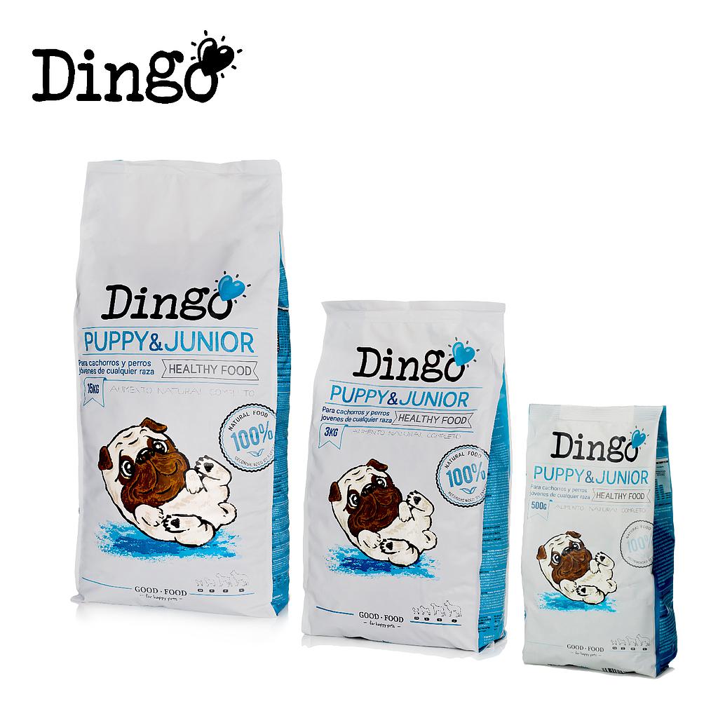 OFERTA DNG DINGO PUPPY &amp; JUNIOR