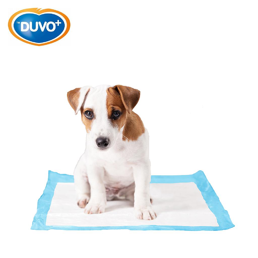 DUVO EMPAPADORES DE ORINA 7 UNI