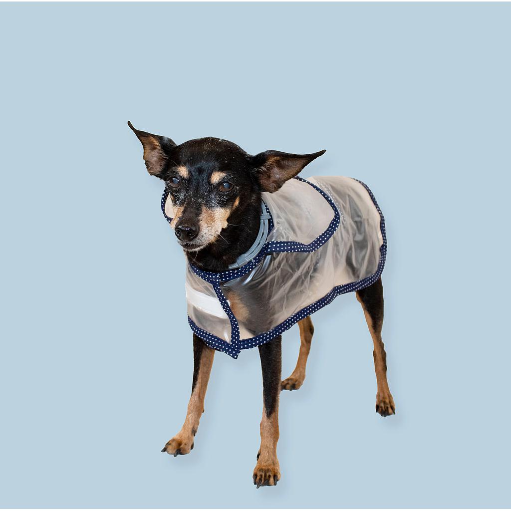 OFERTA MI&amp;DOG IMPERMEABLE TRANSPARENTE CON CAPUCHA