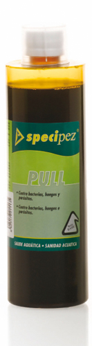 SPECIPEZ PULL