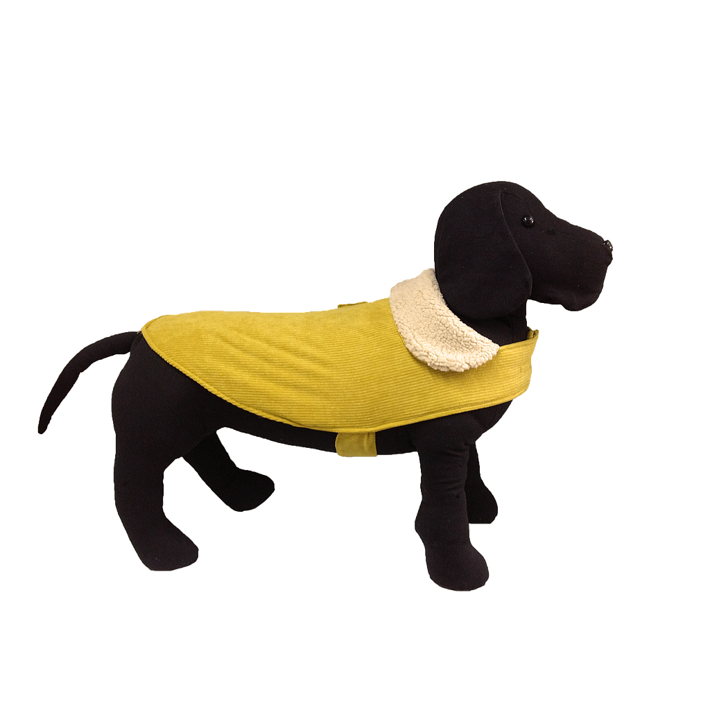 OFERTA MI&amp;DOG ABRIGO AVIADOR PANA MOSTAZA
