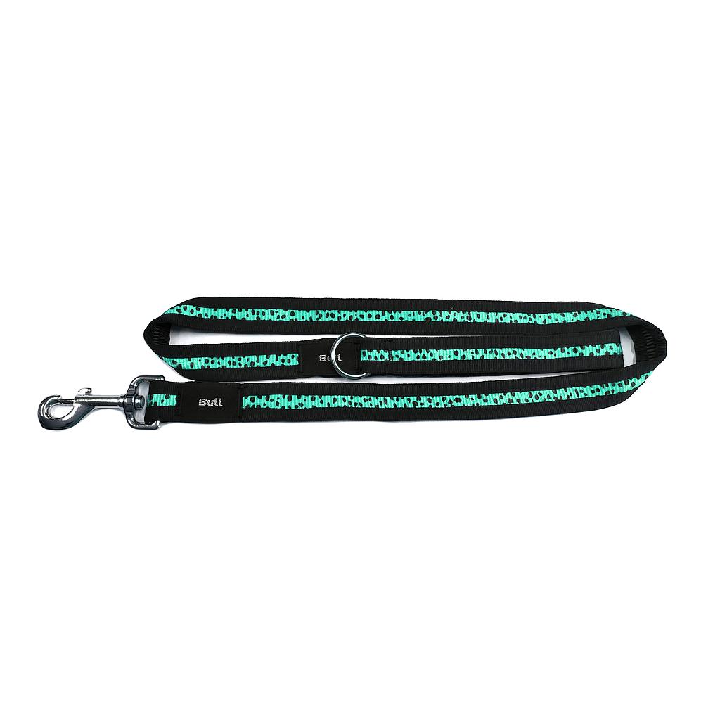 OFERTA BULL RAMAL FORTE AGUAMARINA120 x 3 CM