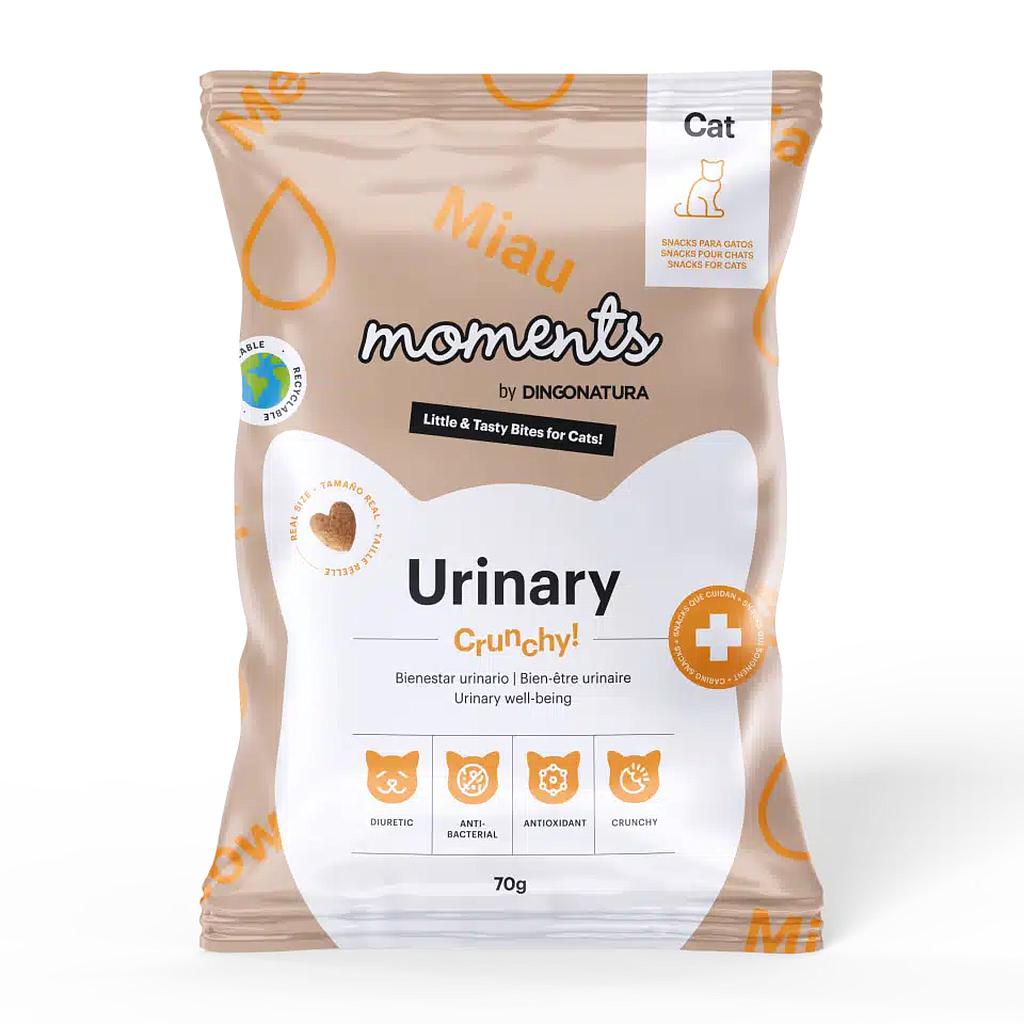 MOMENTS CAT URINARY 70 GR