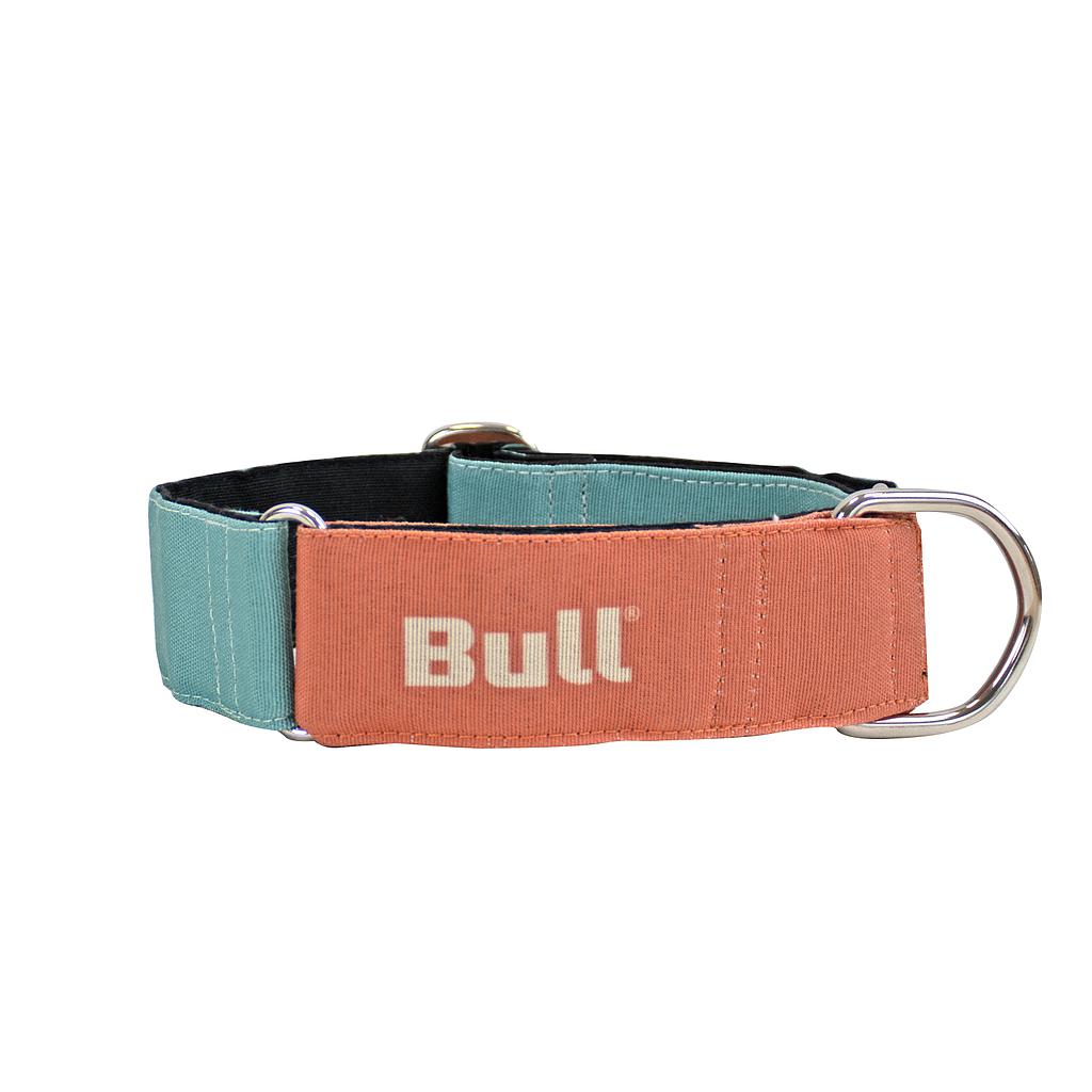 BULL COLLAR GALGO NARANJA-TURQUESA