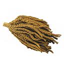 OFERTA BRADIUM PANIZO EN RAMA MIJO FRANCES 1 KG