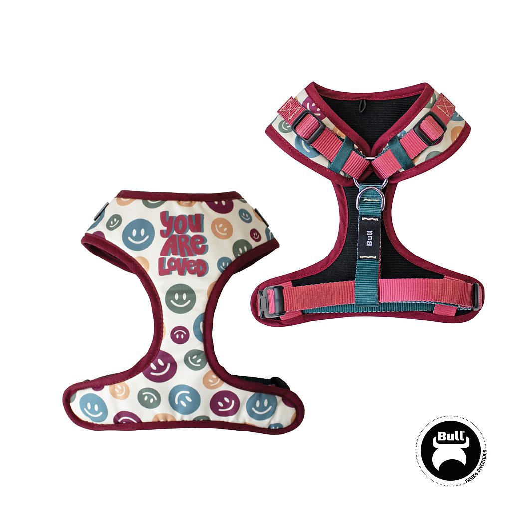 OFERTA BULL ARNES REGULABLE FUN WALK