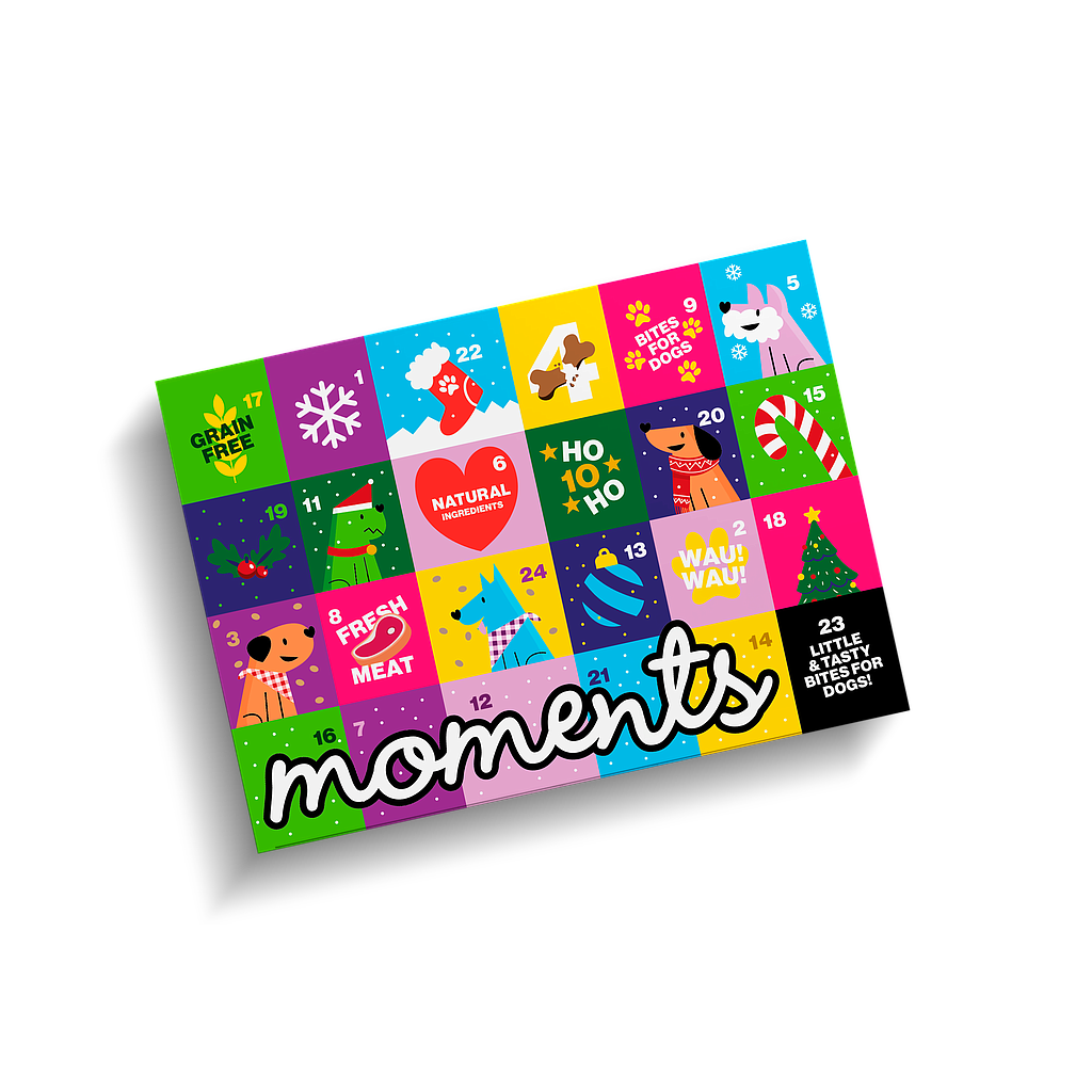 DNG MOMENTS DOG CALENDARIO DE ADVIENTO 100 G