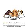 MDT SERRANO SNACK PERROS CACHORROS 100 GR