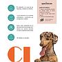 SPECIALCAN CHAMPU REPELENTE