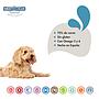 MDT NEW SERRANO SNACKS PERROS SALMON 100 GR
