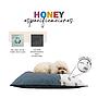 YAGU COJIN EOS IZARO HONEY T-U  100 x 70 CM