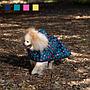 MI&DOG IMPERMEABLE CRUZADO SONRISAS
