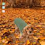 MI&DOG SUDADERA COZY GREEN