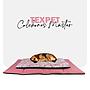 TEXPET COLCHON MASTER