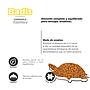 BADIS GAMMARUS