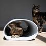 NEW DUVO TUNEL DE JUEGO LANA PARA GATOS GRIS  60 x 25 x 25 CM