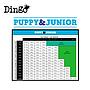 DNG DINGO PUPPY & JUNIOR