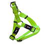 OFERTA BULL PETRAL FLUOR VERDE