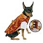 OFERTA MI&DOG FALLAS TRAJE DE SARAGUEY