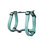 BULL ARNES REFLECTANTE AQUA