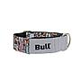 BULL COLLAR GALGO CLUB DOG