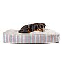YAGU COLCHON HAPPY PORTOBELLO T-2  101 x 70 x 22 CM