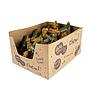DUVO CHEW COCODRILOS DENTALES RELLENOS SURTIDOS 13 CM